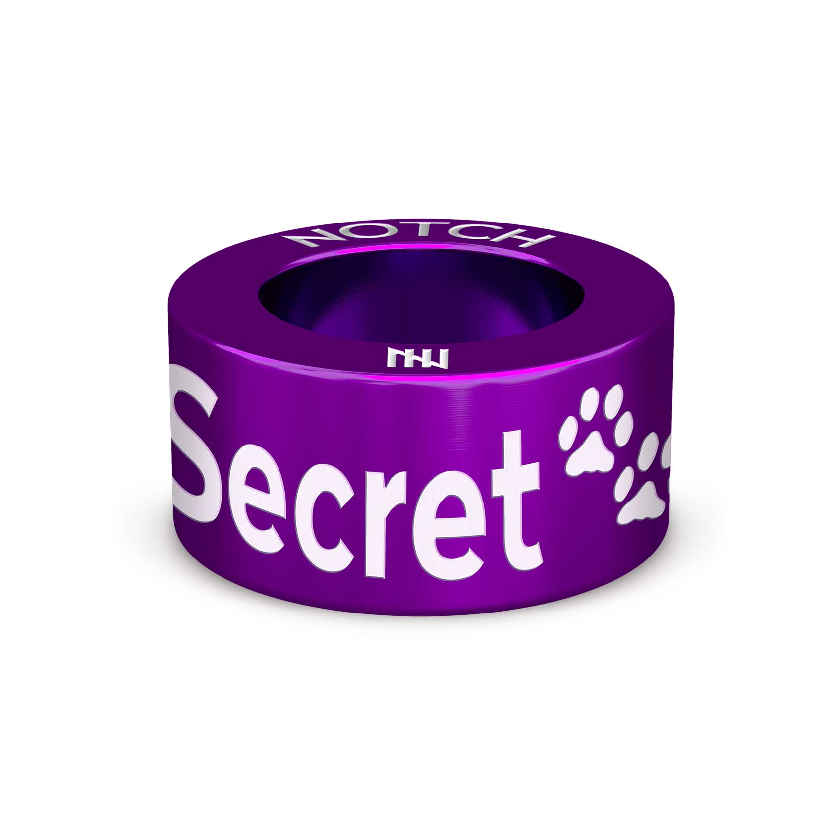 Secret NOTCH Charm